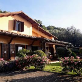 La Cerasa - vista Lago di Bracciano e giardino privato