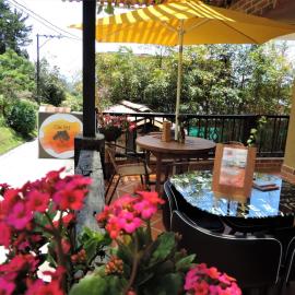 Oak Tree house โรงแรมในกัวตาเป