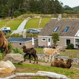 Ree Park Safari, hótel í Ebeltoft