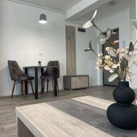 Comfort & Luxury Apartaments PNMresidence、ティミショアラのホテル