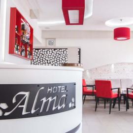 Garni hotel Alma, ξενοδοχείο σε Pirot