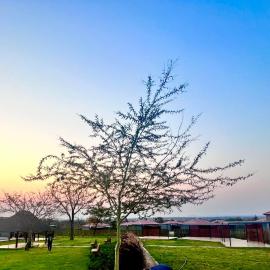 CyC Guest Lodge, hotell i Giyani