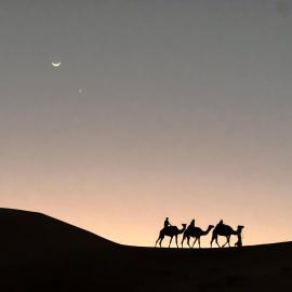 Private Bedouin Tent Al Badri, hotel din Shāhiq