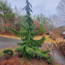 Evergreen Retreat, Hotel in Fleetwood