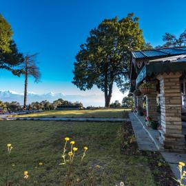 Nine Furlongs, Binsar Wildlife Sanctuary