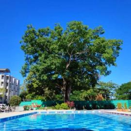 Apartamento Melgar - Altagracia
