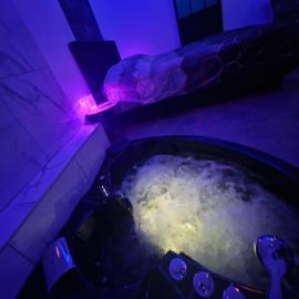 Suite GOLD Mulhouse, hotell i Mulhouse