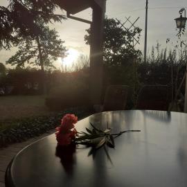 Apartament Cedro del Libano