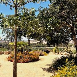 Hilltop Vineyard and Agave Field with View, Hotel in Santa Ynez