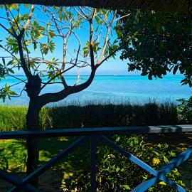 MOOREA - Fare Taina Iti