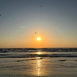 Excelsior Apartaments Mamaia Nord, hotel v destinácii Mamaia Nord – Năvodari