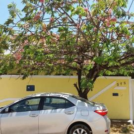 João Pessoa e Cabedelo CASA CAMBOINHA