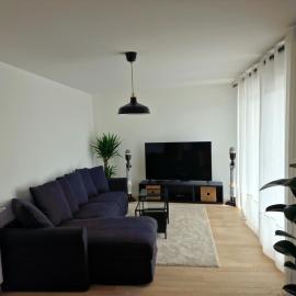 Magnifique appartement sur la seine, hotel a Alfortville