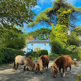 Bay View Cottage, hotel in St Austell