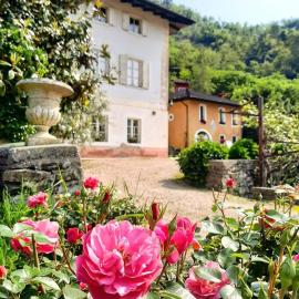 Agritur Cantina Romanese, hotel u gradu Leviko Terme