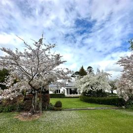 Whiteacres, hotel in Invercargill