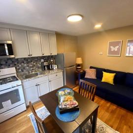 Cozy Boston Getaway Apartment Perfect for 2026 World Cup Visit, Free Parking