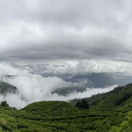 Athithi homestay