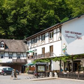 Landhotel Ringelsteiner Mühle, hotel en Moselkern