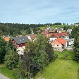 Ruhige Ferienwohnung in Schönwald