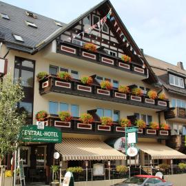 Central-Hotel, hôtel à Winterberg
