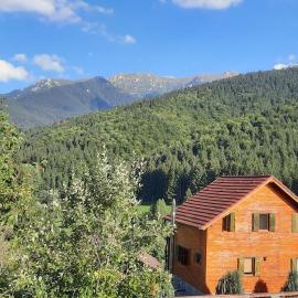 Casa Magnolia