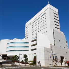 Rembrandt Hotel Tokyo-Machida, מלון במצ'ידה