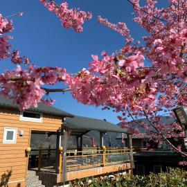 Happy Farm Homestay, hotel in Fuxing