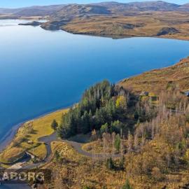 Lakeside cabin in Thingvellir #2