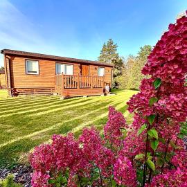 Bungalow Camping Bieska Osada, отель в Солине