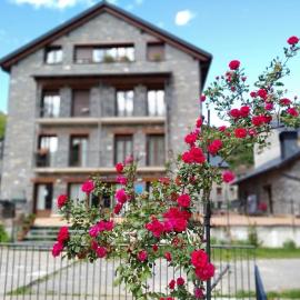 Apart. Casa Juaneta Pirineo-Ordesa, хотел в Брото