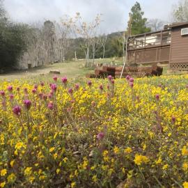 Shirley Creek Retreat: a Mountain Oasis