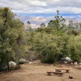 Shirley Creek Retreat: a Mountain Oasis