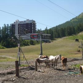 Exceptionnel - Au pied des montagnes & Départ de randos direct - PELVOUX II - VARS