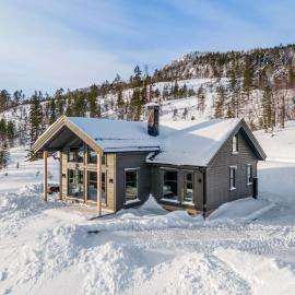 Polaren by Norgesbooking - cabin with amazing view, hotel i Notodden