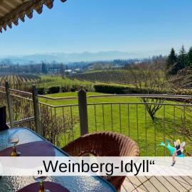Ferienwohnung Weinberg-Idyll - Traumhafter Blick über Weinberge auf den Bodensee