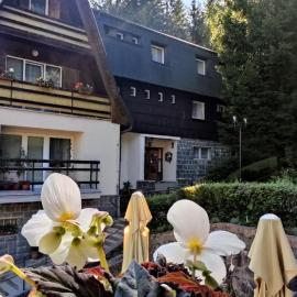 Penzion Svojanov, Hotel in Svojanov