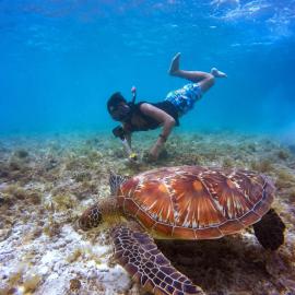 Empyrean Stay, Maldives, מלון בתולוסדו