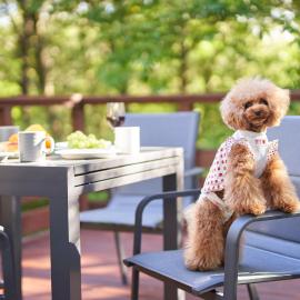 Suite Villa Nasukogen Doggy's Ohana