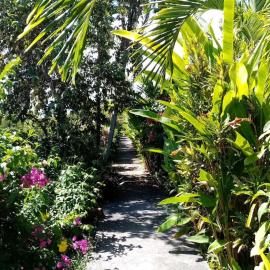 Bungalow papaye, hotel in Sainte-Anne