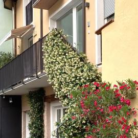 Villa Jasmine, hotel v destinaci Bolzano