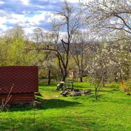 Friendship Cabin (Friendship Land): Şelari şehrinde bir otel