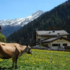 Hotel Restaurant Walserhof、Medels im Rheinwaldのホテル