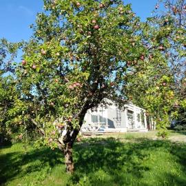 Mini house Imatra with own garden
