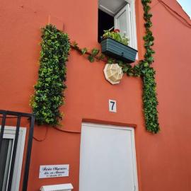 Casa en Teror Céntrica turismo de ciudad y bosques