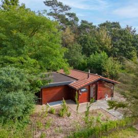 Spacious wooden cottage with infra-red sauna at Veluwe, hotel em Putten