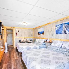 11 Renovated Cozy Room Dog Friendly Leadville, hotelli kohteessa Leadville