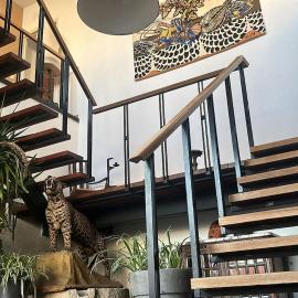 Loft by Conceptliving