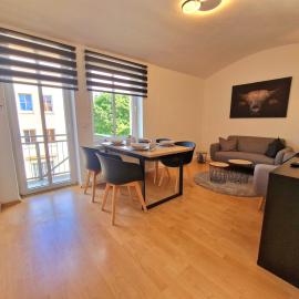 FEWO "Anne" Großzügige Wohnung im Zentrum von Chemnitz