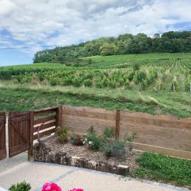 le gite des vignes Studio tout confort 1 chambre dans le vignoble Franche Comte Arbois, khách sạn ở Arbois
